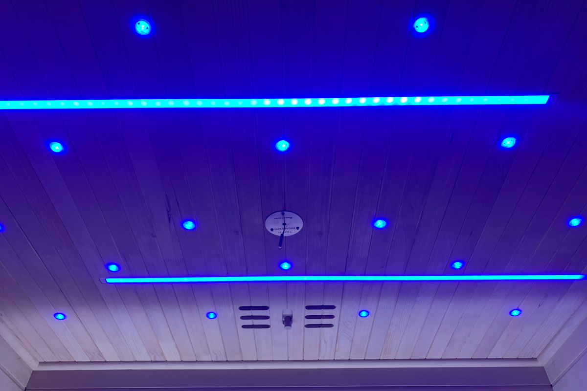 Blisspod Bergen 2-Person Full-Spectrum Infrared Sauna